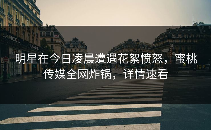 明星在今日凌晨遭遇花絮愤怒，蜜桃传媒全网炸锅，详情速看