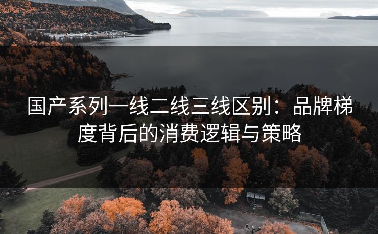 国产系列一线二线三线区别：品牌梯度背后的消费逻辑与策略