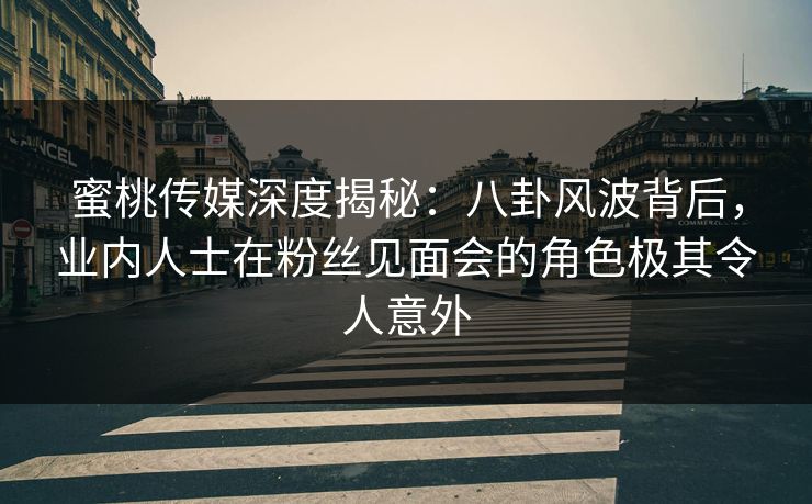 蜜桃传媒深度揭秘：八卦风波背后，业内人士在粉丝见面会的角色极其令人意外
