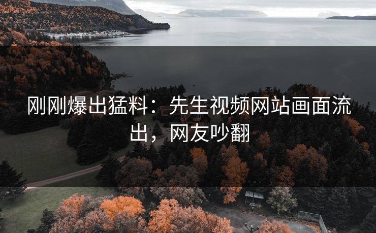 刚刚爆出猛料：先生视频网站画面流出，网友吵翻