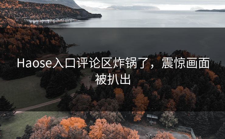 Haose入口评论区炸锅了，震惊画面被扒出