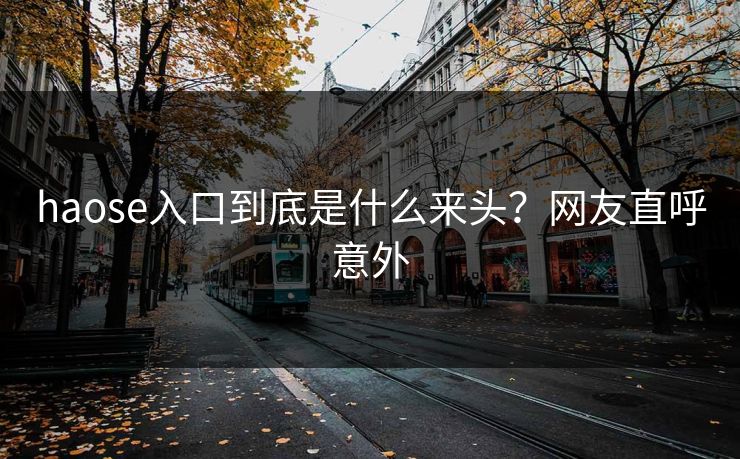 haose入口到底是什么来头？网友直呼意外