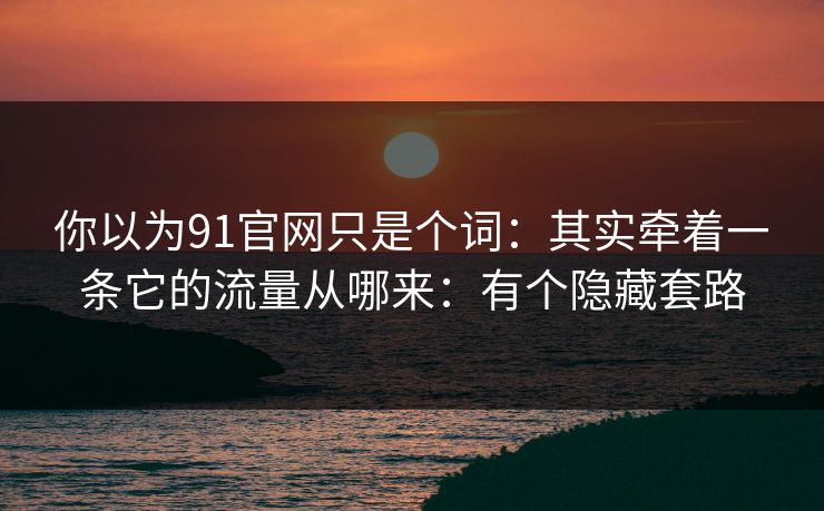 你以为91官网只是个词：其实牵着一条它的流量从哪来：有个隐藏套路