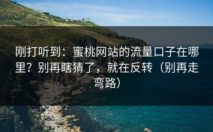 刚打听到：蜜桃网站的流量口子在哪里？别再瞎猜了，就在反转（别再走弯路）